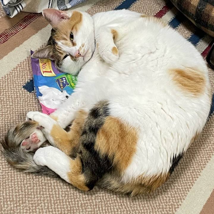 84b1fb4b 185a 4480 82a7 7ec90144f179 1715696364411