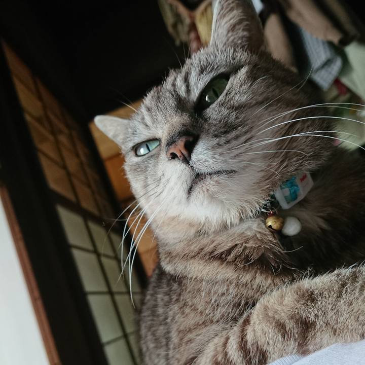 84b215be 1ff6 44f4 8d16 8598485d34ff 1561273849369