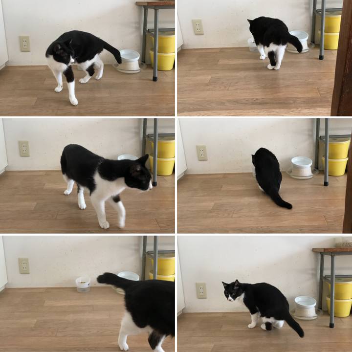 84b221cb f8d7 4cdf a3e7 7273f9fcec58 1509361680666