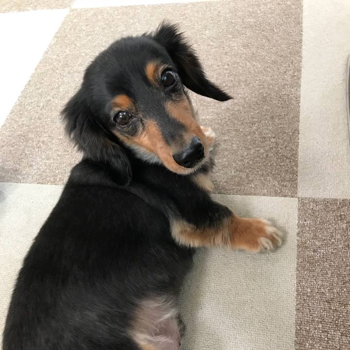 84b270d6 ad48 46c9 ba87 96706c340849 1509575485265