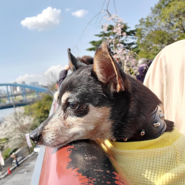 84b2a928 7ee7 42c5 88e8 cb782e10dfd8 1680410421618