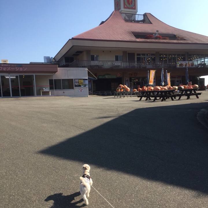 84b2e3fd 4e89 427a 9edc 5f3b3a852767 1509364203338