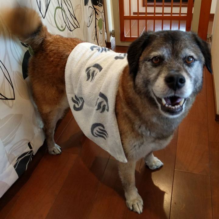 84b30991 dbec 4666 a6d1 f7da9f125e68 1529397113949