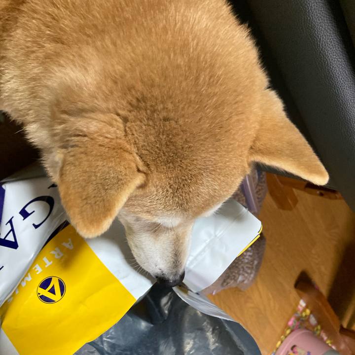 84b355b0 8847 40ba 9c95 2e2169f99a12 1617798406932