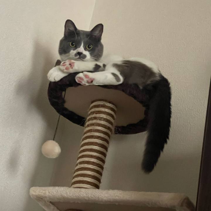 84b37f67 d6b0 44c5 9eb6 5f9160f13ba3 1693988661778