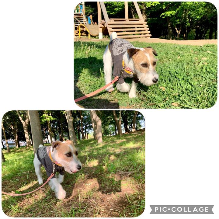 84b3816b 69a9 4920 acf0 d4dc303428eb 1619003434214