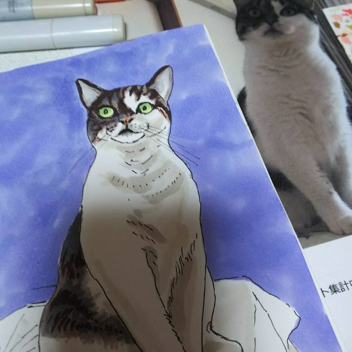 84b39cf5 7ab6 4401 868b 2cb60e12b690 1538811024946