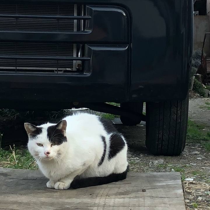 84b3bb1d dbc6 495c 94c2 352ed1aac1e7 1521104066592