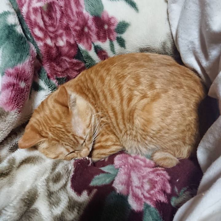 84b3d99a 2985 4449 b298 b43471d79ca3 1644842252112