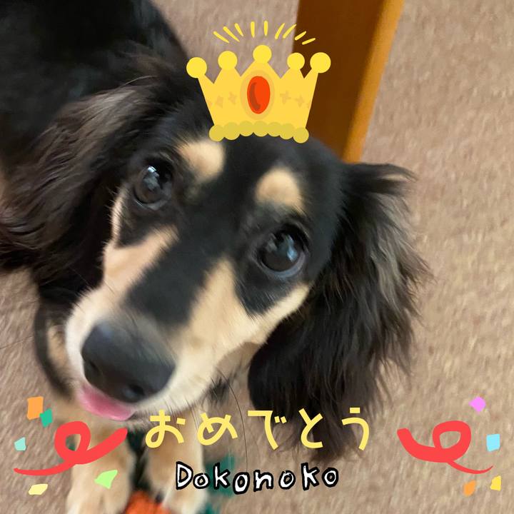 84b40948 43f6 451e 932c 602c445bd199 1685939754919