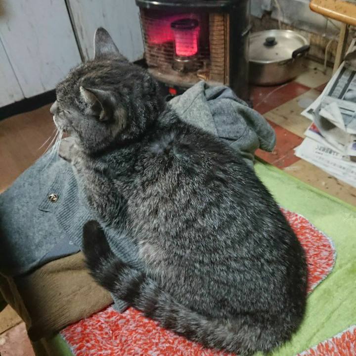 84b42c62 39c2 4d45 a0e0 8942669f7266 1579604569135