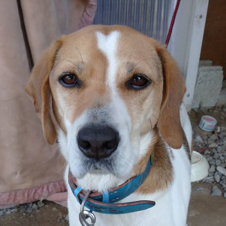 84b45f8a 4f0d 4756 a747 c628574d3be7 1616129371828