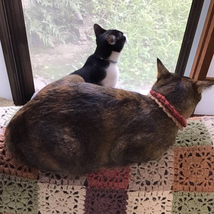 84b496ae d506 4ba7 8ce0 840d462d2e55 1631787665024