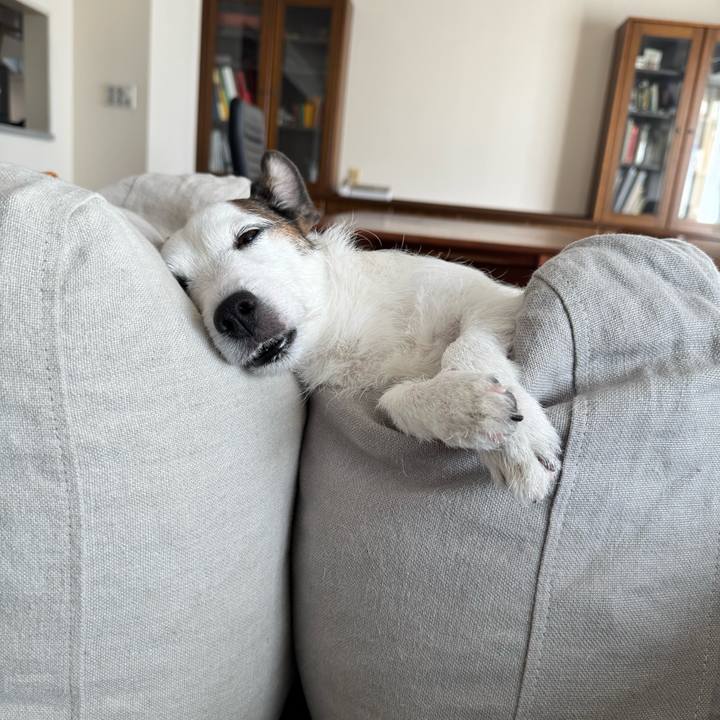 84b4a31a f235 499a 8433 ad574d975b06 1763781937019