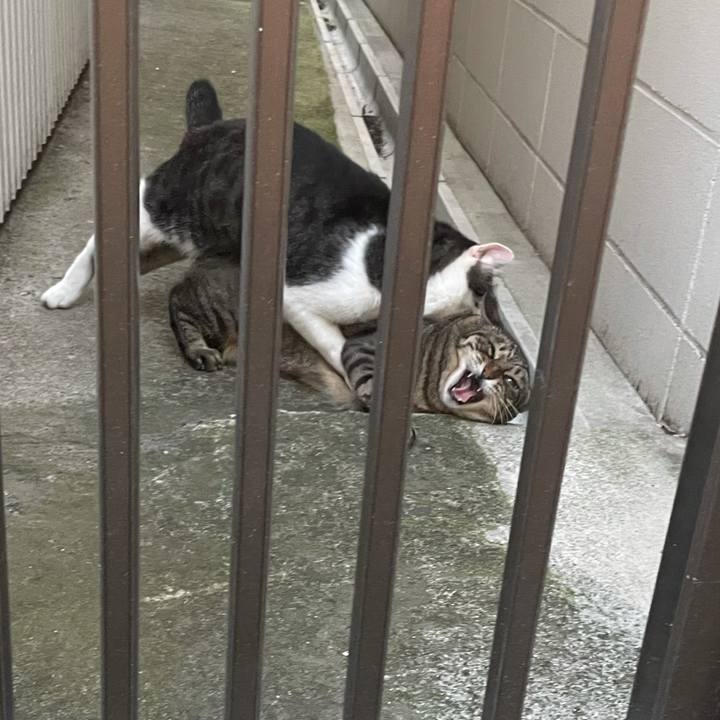 84b4ddd8 96ab 4b46 98a7 8402cac82a27 1628588930650