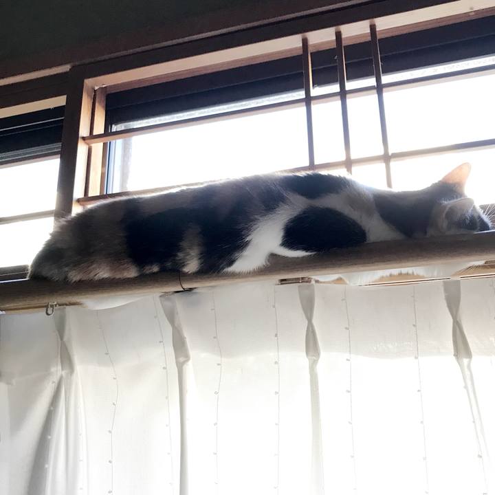 84b4e012 8e44 4bf3 99e2 4ad0b95969da 1536458681120