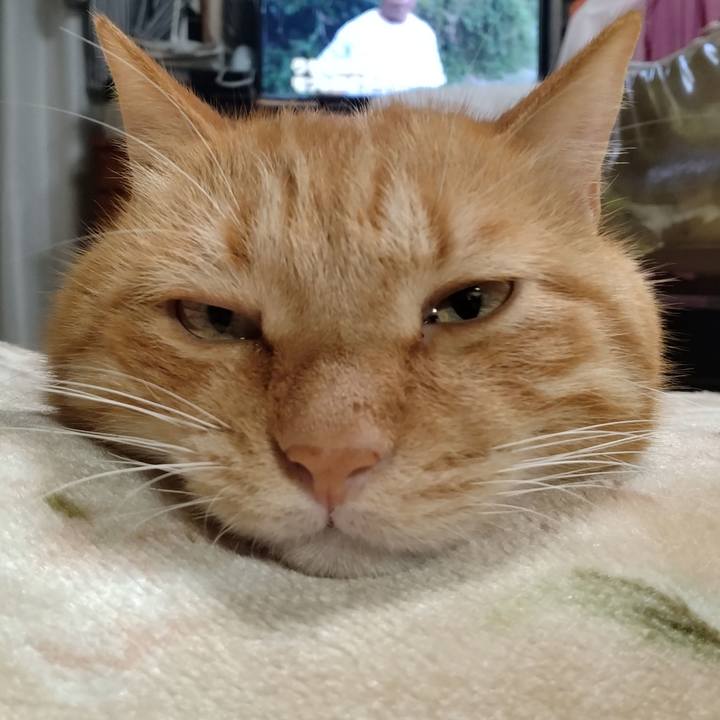 84b4f658 93c3 44ae 9440 66068e055a36 1763378668188