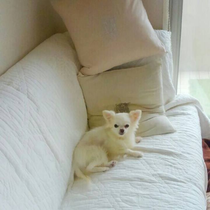 84b4fb6e 61c8 4311 98dd 13c268dd37e9 1534120710356