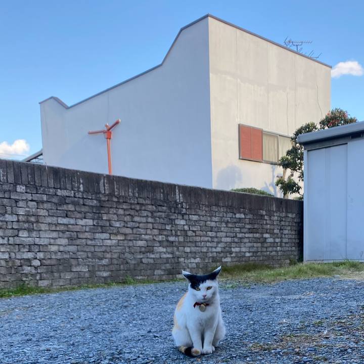 84b50008 f4ca 41ef 9519 1558fe5fb1be 1640243593822