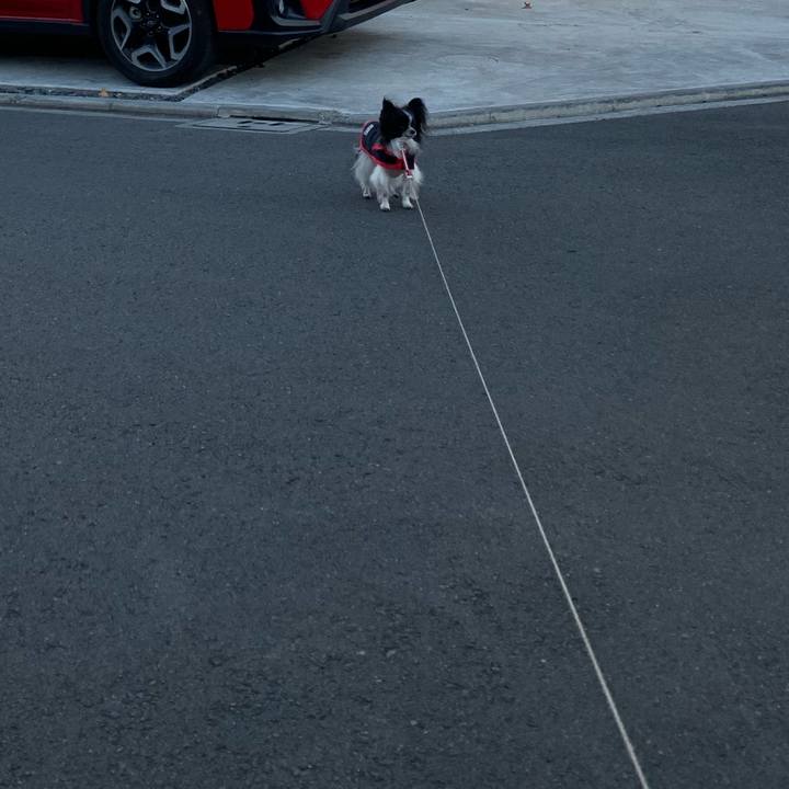 84b52f5d d3cd 482f 8406 436d431f3e48 1545998452597