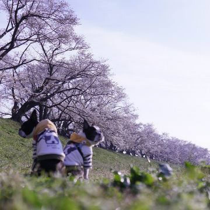 84b54640 2122 4a53 8c95 2ffe04a960ea 1554454539947