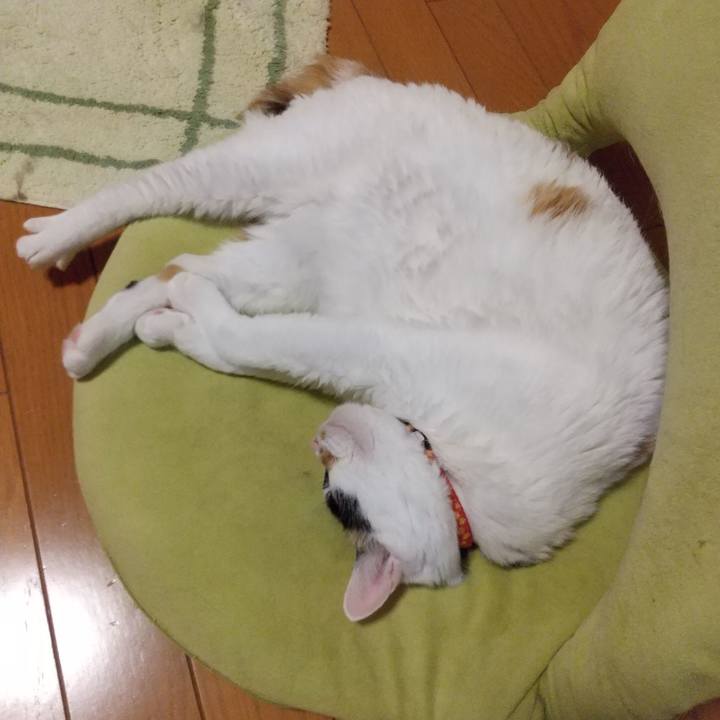 84b557f5 a6e3 4292 bc08 8f2110dfc256 1613381920598