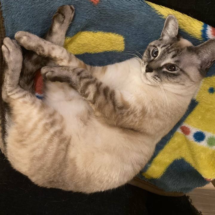 84b568c9 5422 4e05 830d 2bbe570ed596 1644580281414