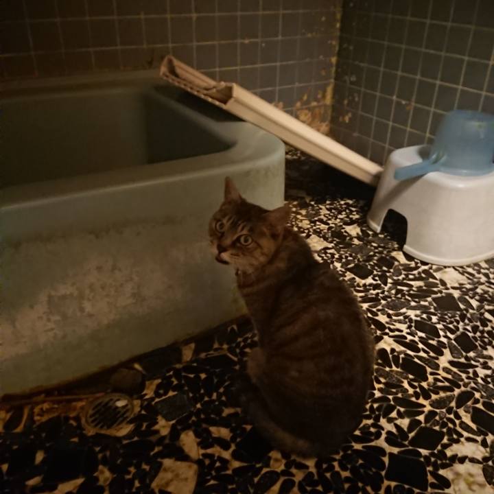 84b5816d 953d 41d6 9b61 0e92f79bc1bf 1569923057714