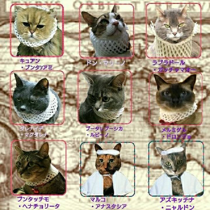 84b59673 5abd 4c61 86b8 12319635675e 1532605635730