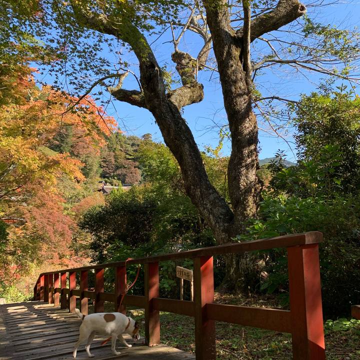 84b5c230 424e 41c6 82b0 c52f7ea73b8d 1573272846559