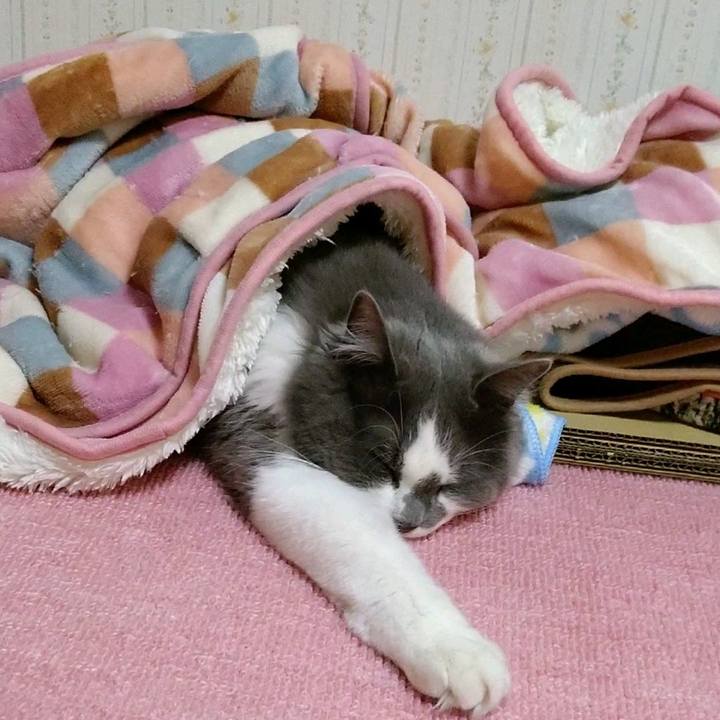 84b5f52b 2d25 443a 9d2e f920e648b44a 1587181782094