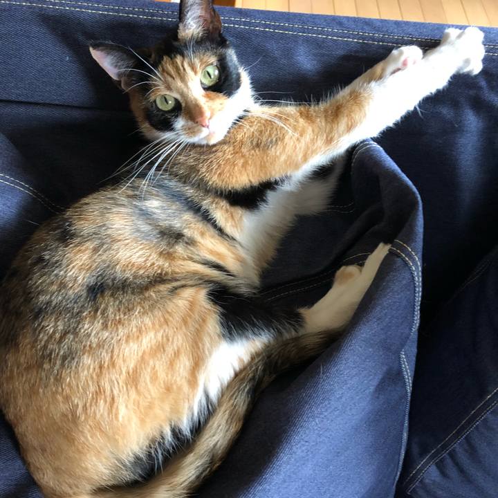 84b5fb0f 968d 40c0 8daf 85e38bd37f86 1529817840528