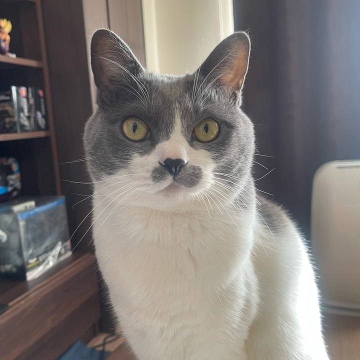 84b6111e 0ad5 4d58 8ffa f278911f117a 1703390632344