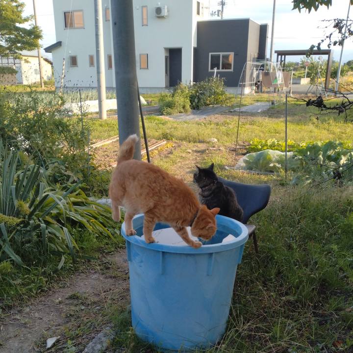 84b61e99 cf8c 4800 9891 dcbc7176acc4 1759050007969