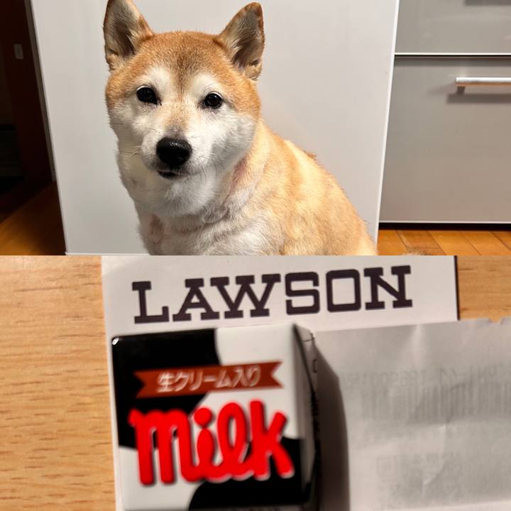 84b620fe aa15 4566 a90a 85d6b81c607a 1732805542425