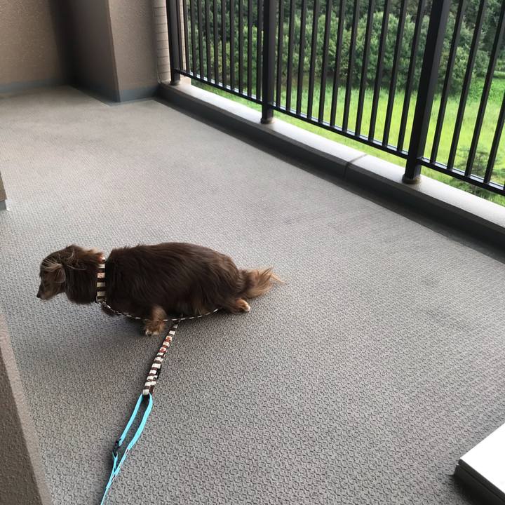 84b63262 b602 4911 99e7 b00c0013424f 1600327004115