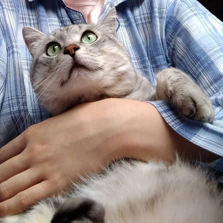 84b64899 c27c 4887 8761 a66b00f577d7 1595457340839