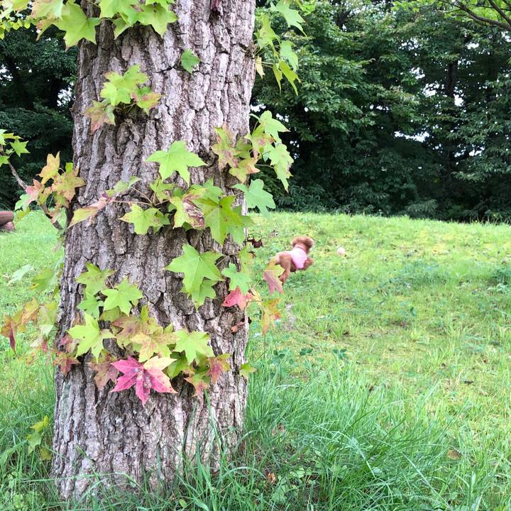 84b64af0 d608 411a a500 bc04d48b331b 1568946271888