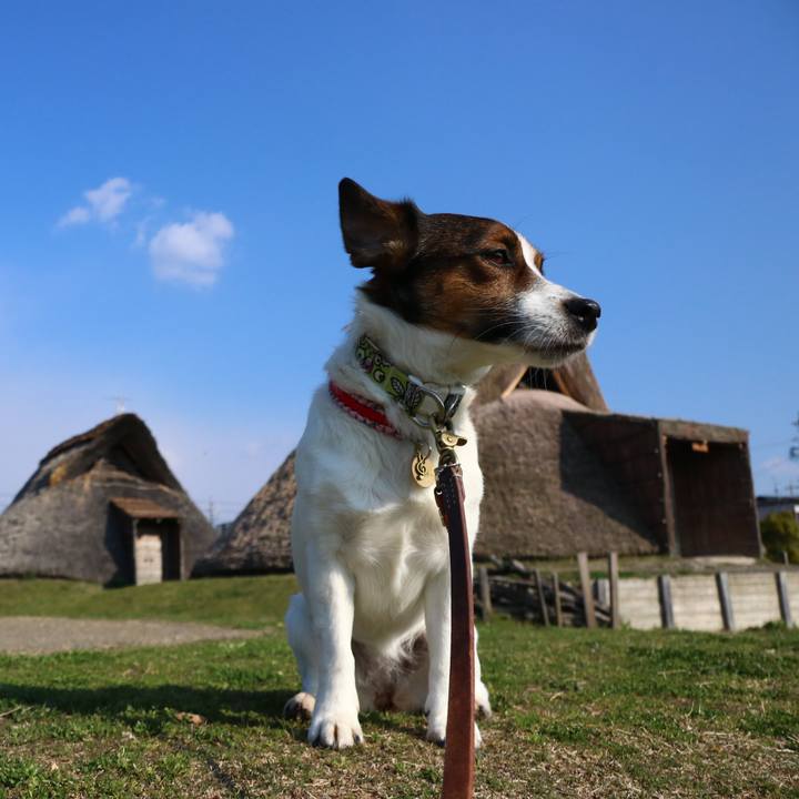 84b67422 c3be 4f32 8783 91ae926f25d9 1552444075078