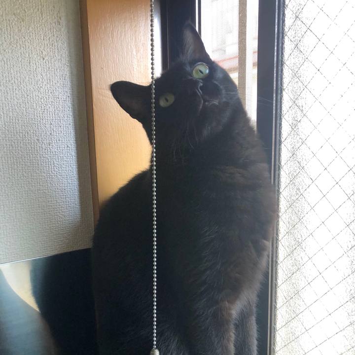 84b6760c e3fd 4067 babd 5bb9a860afa7 1597707272677