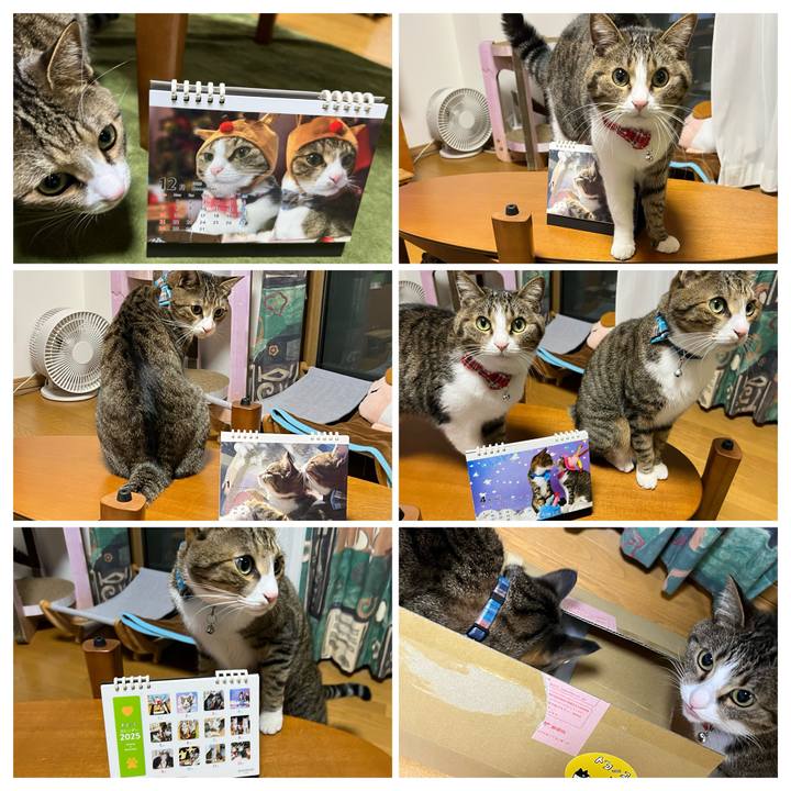 84b67945 bb3b 4f4c a7c8 c2fff3b5b843 1734106973000