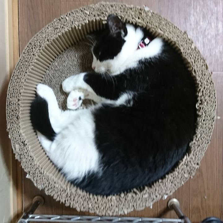 84b6a55e d8b9 4234 a348 00fa1434b1f1 1570924407700