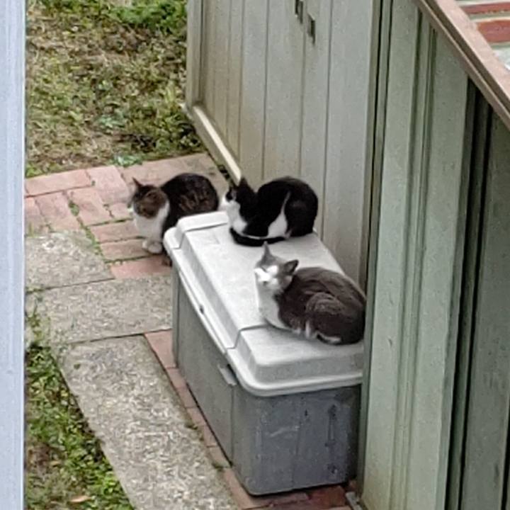 84b6bdc4 434b 4da1 9053 f28beffb5ce2 1616803116341