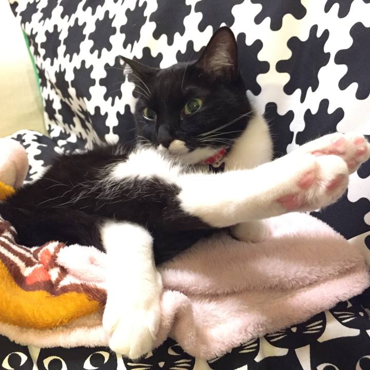 84b6e7e4 0ad6 4bca 9d87 0d554117a69a 1519224605554