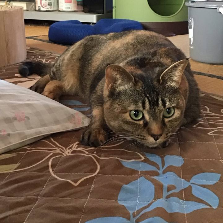 84b71276 3d57 433a b037 7b5762409988 1742434556258