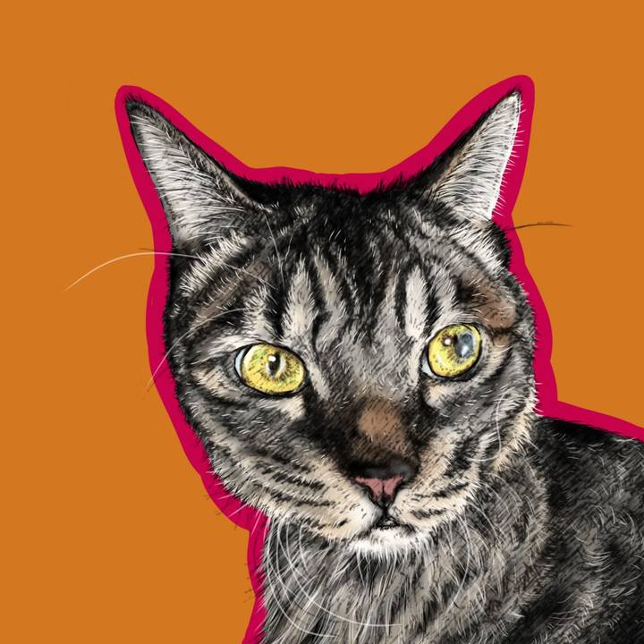 84b74ca1 b74b 4488 8675 383d7061eb53 1659972327647