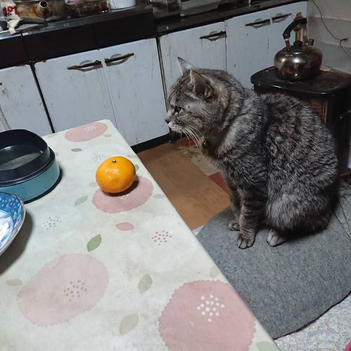 84b77d32 59f3 45ff a559 bb6f17945d6e 1578260682716