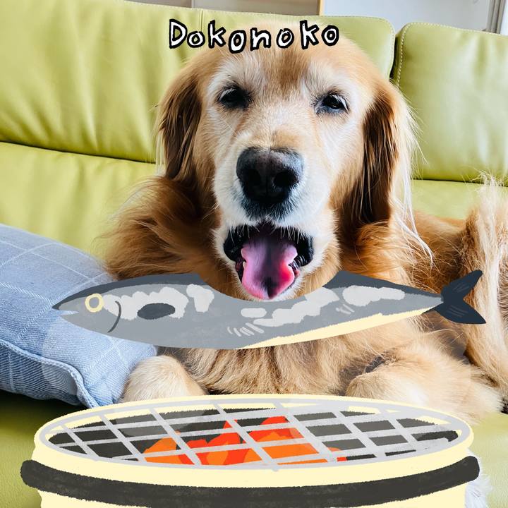 84b77e5c 9604 4922 acc6 347bde31db98 1761222986176