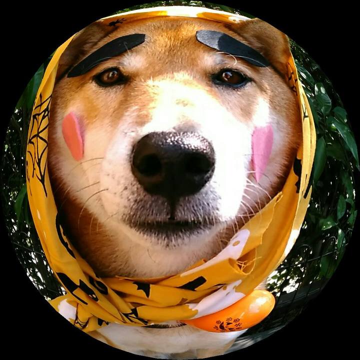 84b797c8 a2b9 496e bbfd 6ab0220eaccc 1539737733448