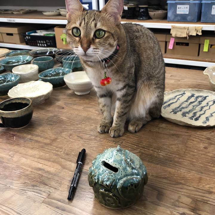 84b7a016 e798 4c19 a310 d4679c266caf 1629268756121